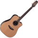 Takamine DN15C