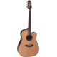 Takamine DN15C