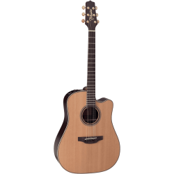 Takamine DN15C