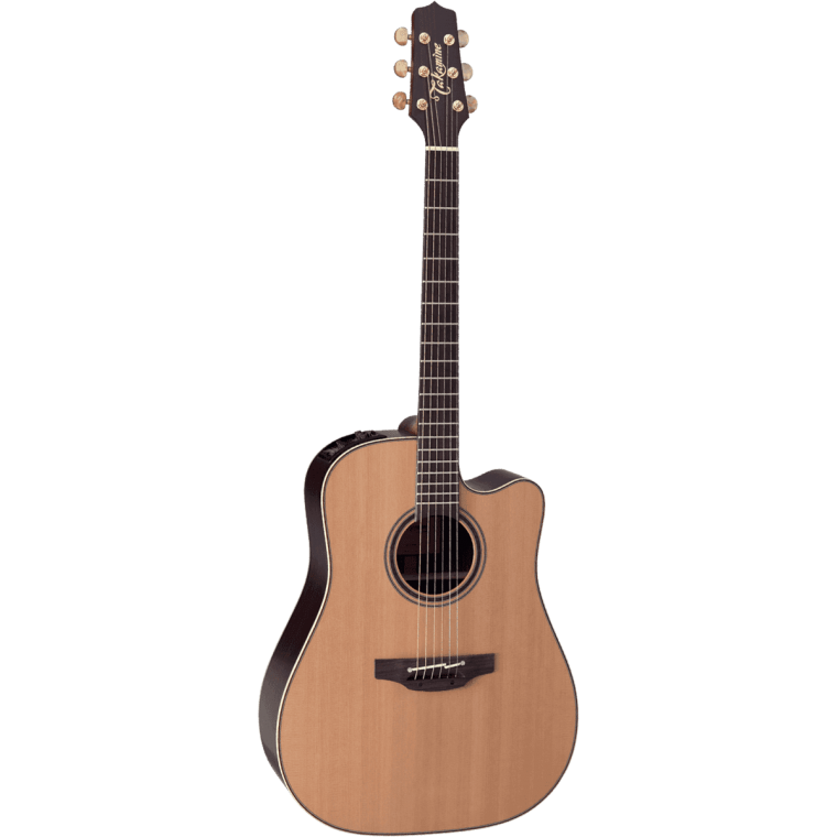 Takamine DN15C