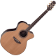 Takamine DN25C