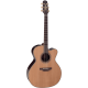 Takamine DN25C