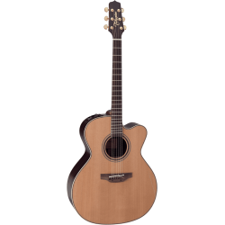 Takamine DN25C