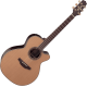 Takamine DN45C