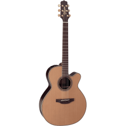 Takamine DN45C