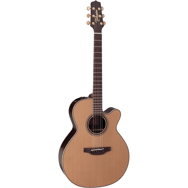 Takamine DN45C