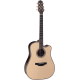 Takamine TN18C