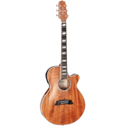 Takamine Thin Line TSP178ACK-N