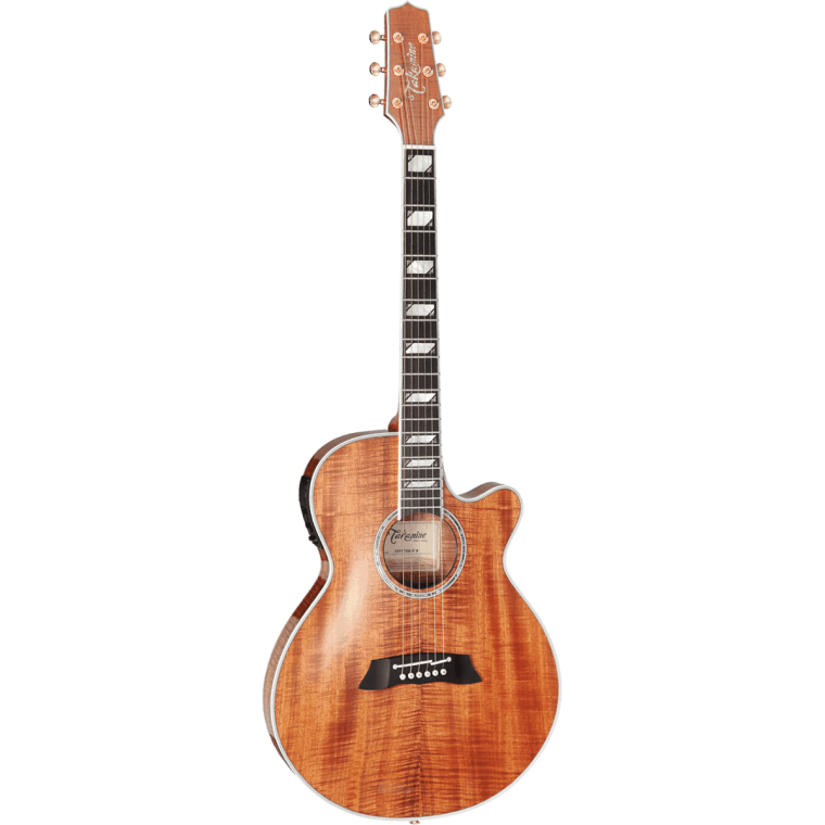 Takamine Thin Line TSP178ACK-N