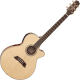 Takamine Thin Line TSP138C-N