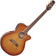 Takamine Thin Line TSP138C-TB