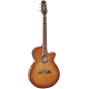 Takamine Thin Line TSP138C-TB