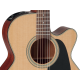 Takamine P1NC