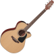 Takamine P1NC