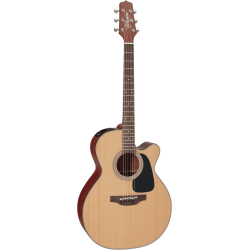 Takamine P1NC