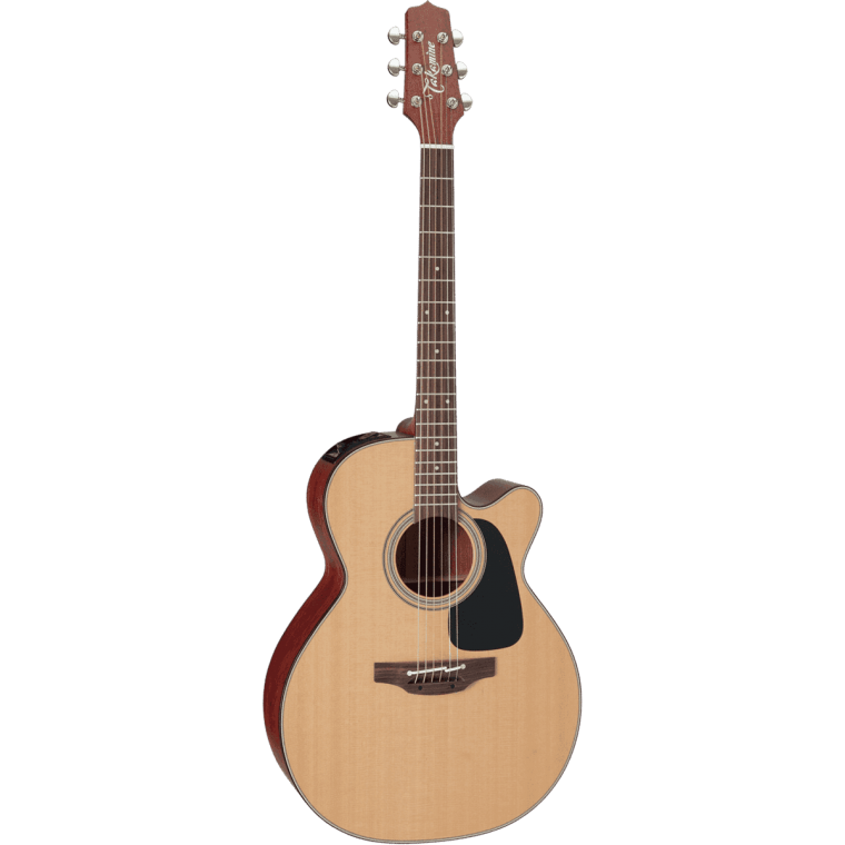 Takamine P1NC