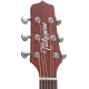 Takamine P1DC