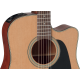 Takamine P1DC