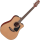 Takamine P1DC