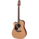 Takamine P1DC