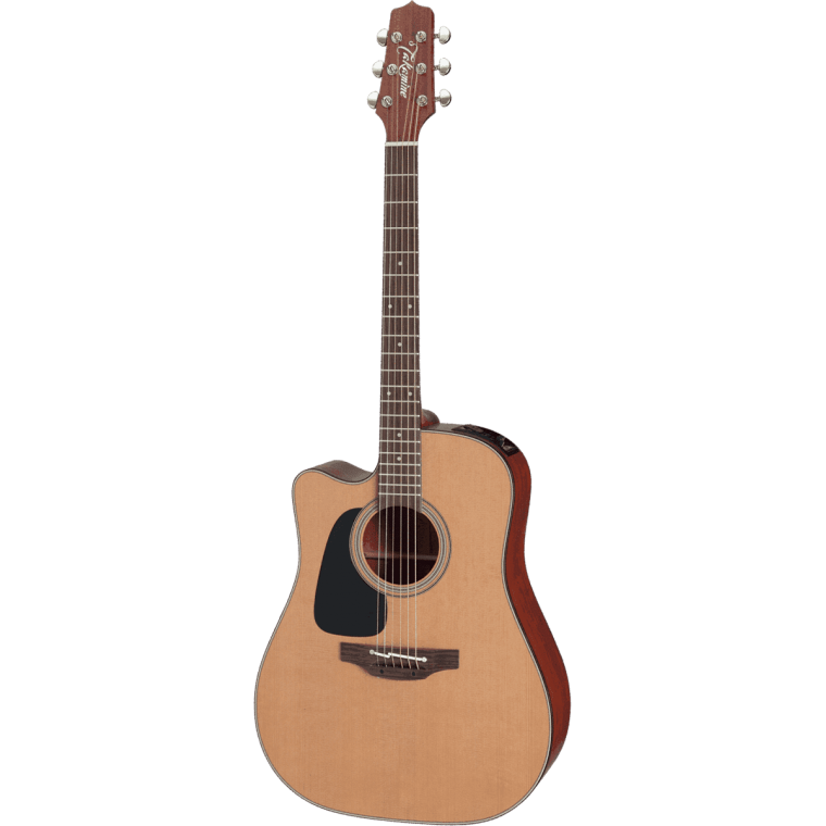 Takamine P1DC