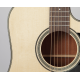 Takamine P2DC