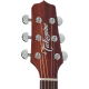 Takamine P2DC