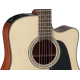 Takamine P2DC