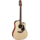 Takamine P2DC