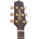 Takamine P3D