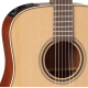 Takamine P3D