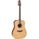 Takamine P3D