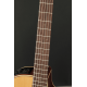 Takamine P3D