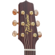 Takamine P3D