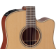 Takamine P3D