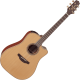 Takamine P3D