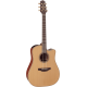 Takamine P3D