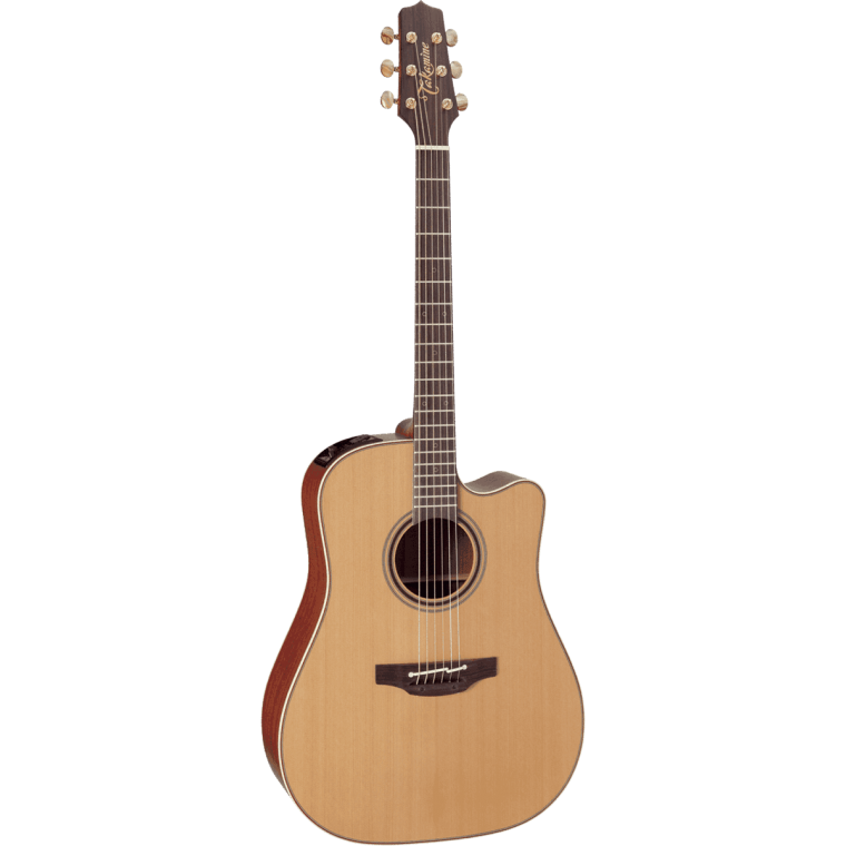 Takamine P3D