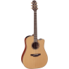 Takamine P3D Cutaway