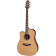 Takamine P3D Cutaway Gaucher