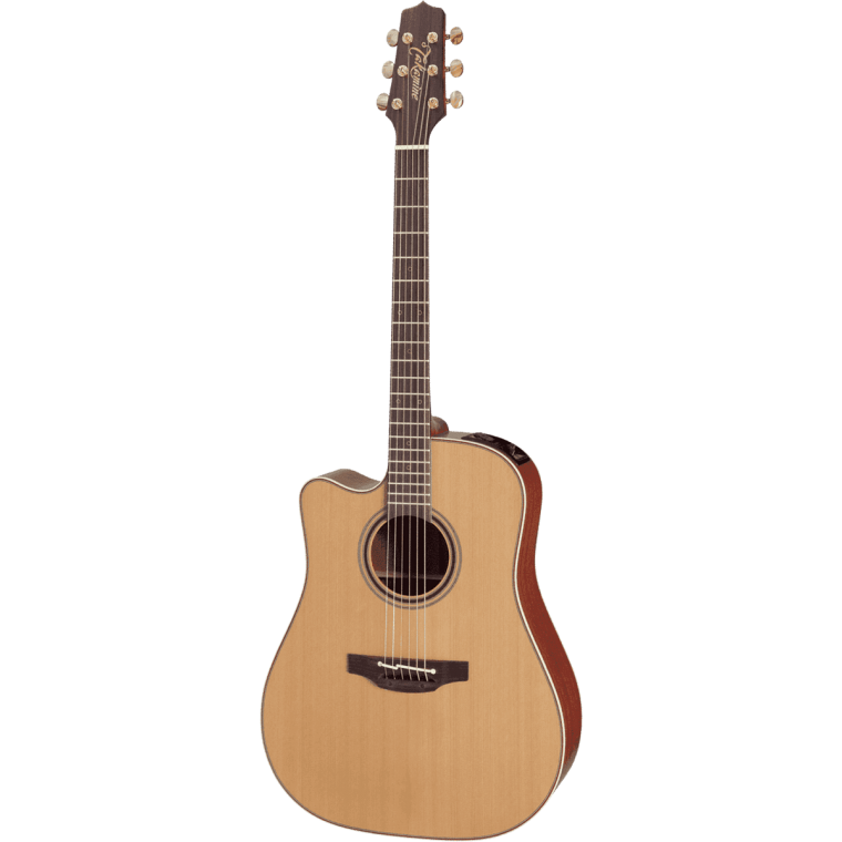 Takamine P3D Cutaway Gaucher