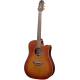 Takamine P3D Cutaway SAS