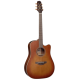 Takamine P3D Cutaway SAS