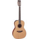 Takamine P3NY New Yorker