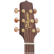 Takamine P3MC Cutaway