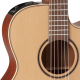 Takamine P3MC Cutaway