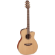 Takamine P3MC Cutaway