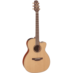 Takamine P3MC Cutaway