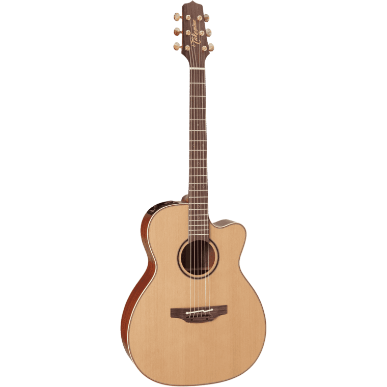 Takamine P3MC Cutaway