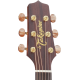 Takamine P3NC Auditorium Cutaway